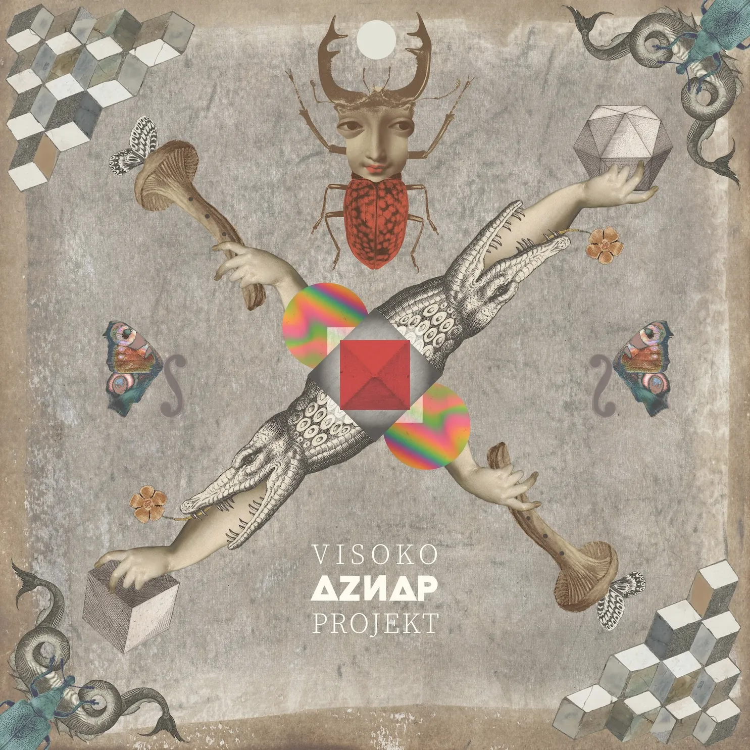 AZNAP album cover